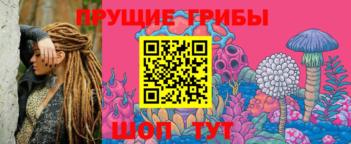 Псилоцибиновые грибы ЛСД Верхняя Пышма