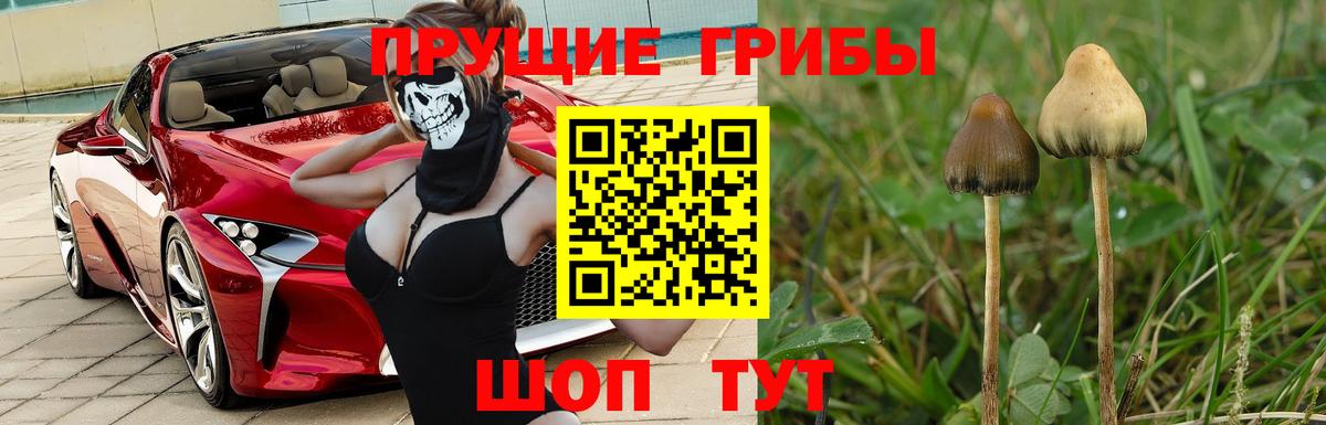 Верхняя Пышма  Псилоцибиновые грибы мицелий  Вход с VPN 
