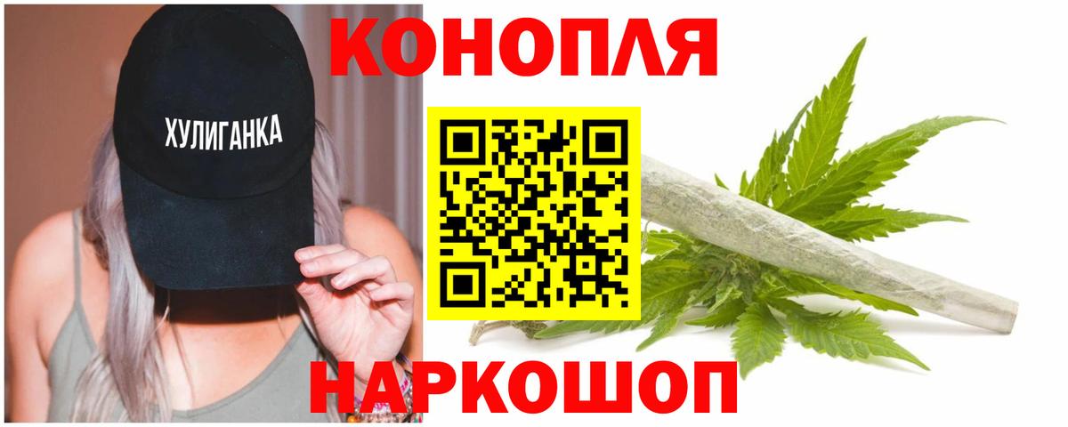 Канабис сатива Верхняя Пышма